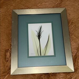 Silver and Green Framed Botanical Art